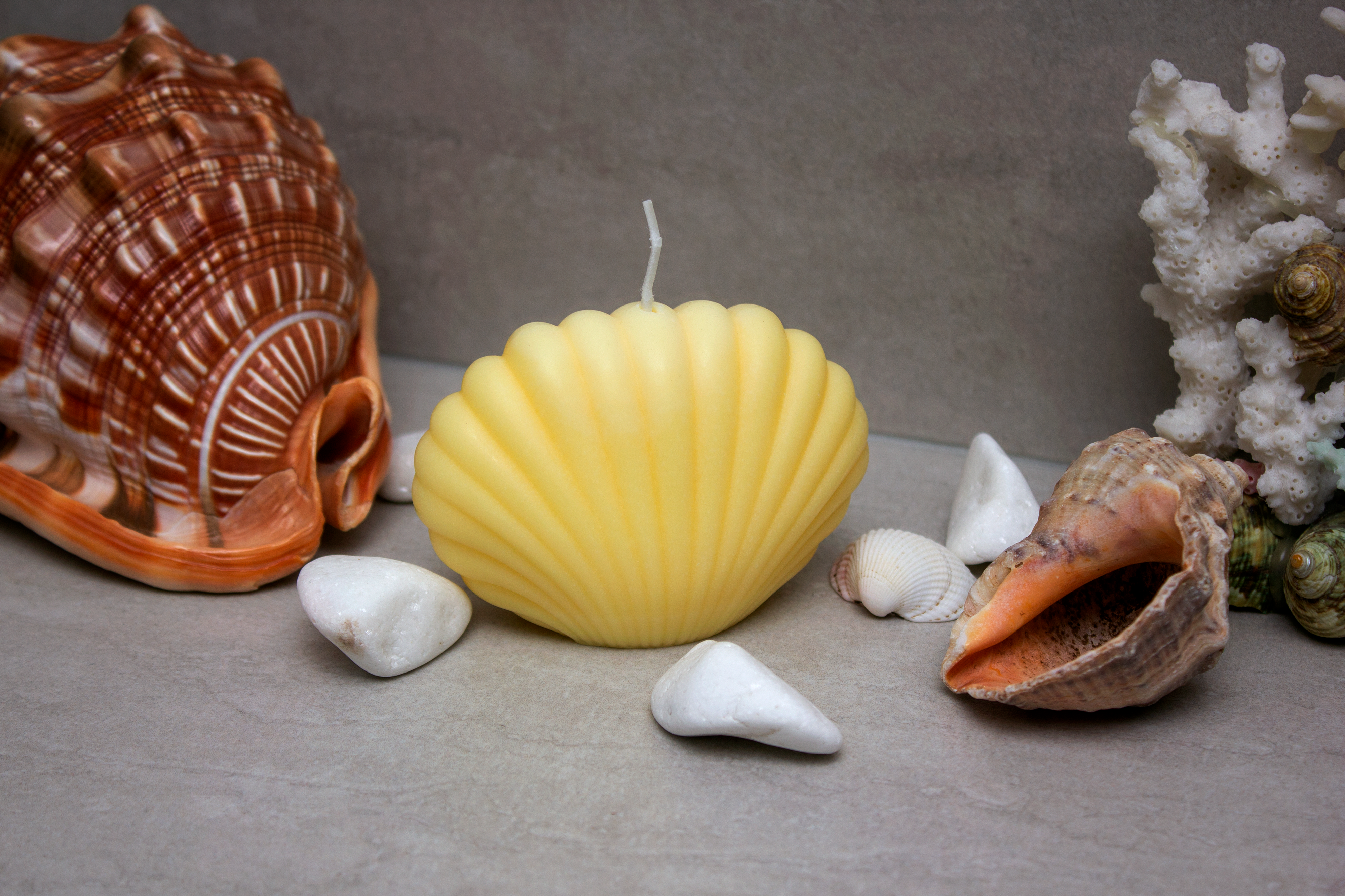 SeaShell Candle