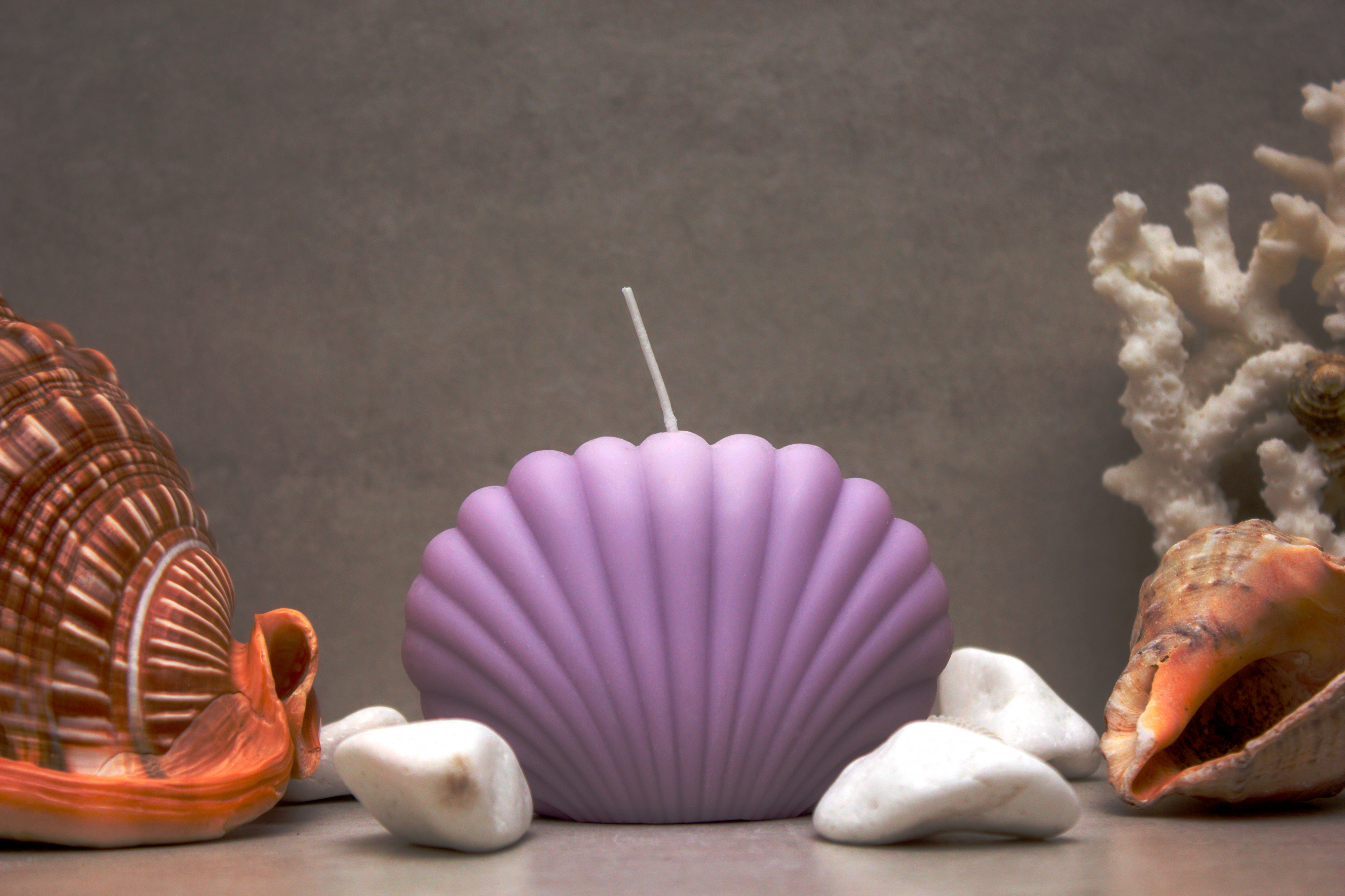SeaShell Candle