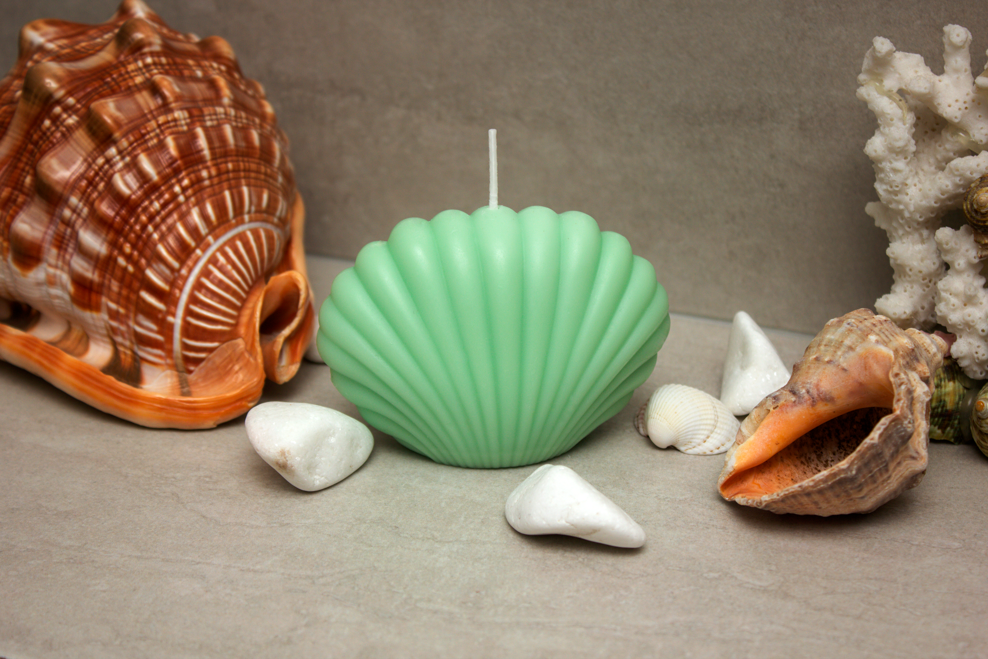 SeaShell Candle