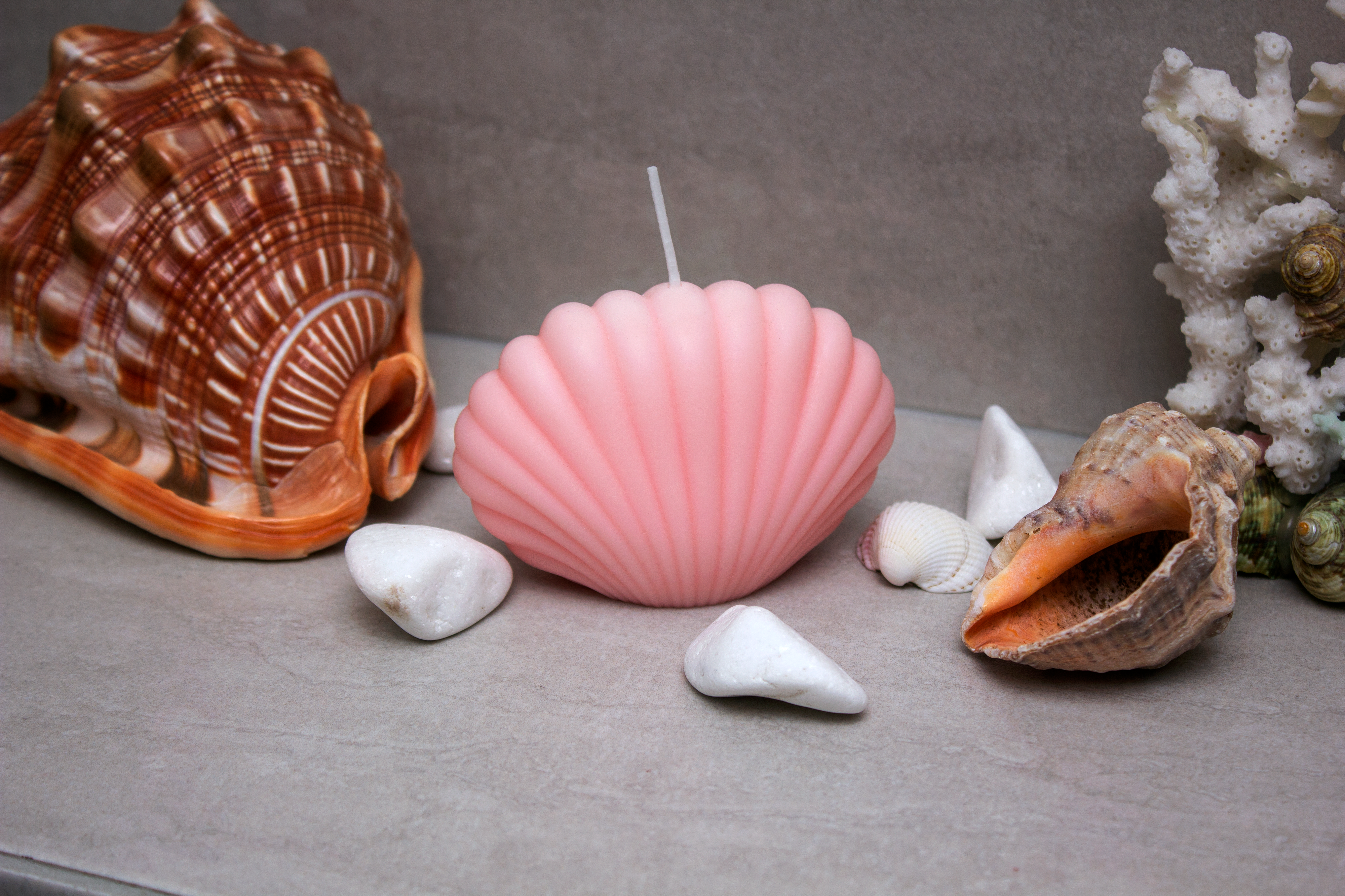 SeaShell Candle